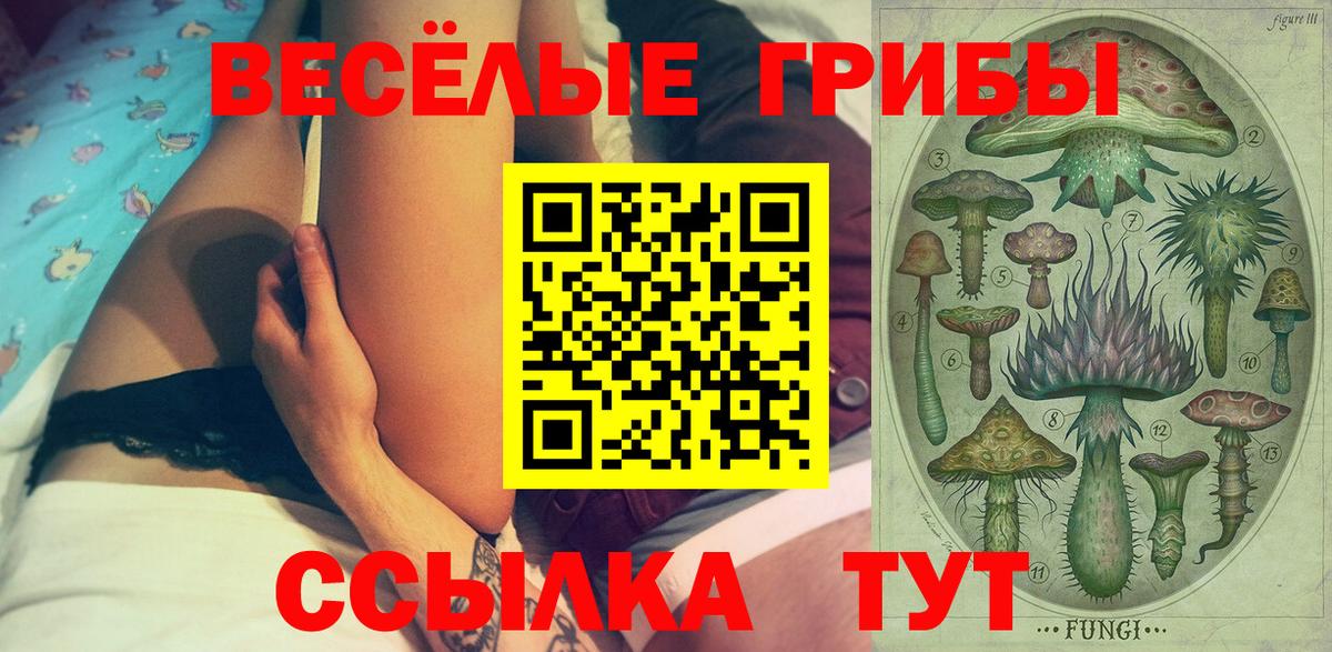 Карпинск  Галлюциногенные грибы Psilocybine cubensis  Вход с VPN 