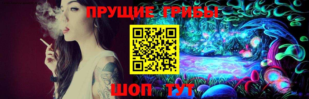 Псилоцибиновые грибы GOLDEN TEACHER Карпинск